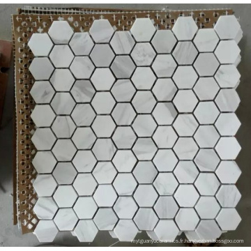 Tuile de mosaïque en pierre de marbre blanc Hexagon (HSM204)